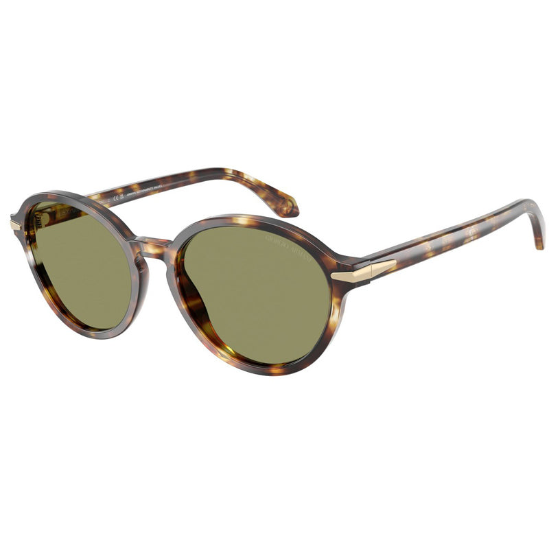 Giorgio Armani Sunglasses, Model: 0AR8237 Colour: 623214