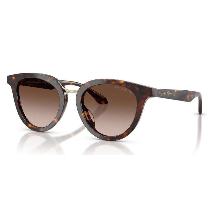Giorgio Armani Sunglasses, Model: 0AR8252U Colour: 612413