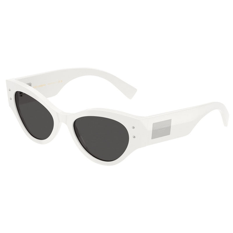 Dolce e Gabbana Sunglasses, Model: 0DG4480 Colour: 331287