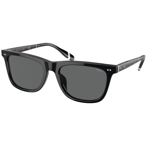 Polo Ralph Lauren Sunglasses, Model: 0PH4205U Colour: 500187