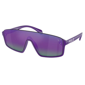 Polo Ralph Lauren Sunglasses, Model: 0PH4211U Colour: 6131P1