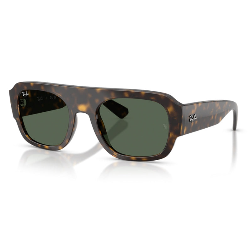 Ray Ban Sunglasses, Model: 0RB2218 Colour: 679071