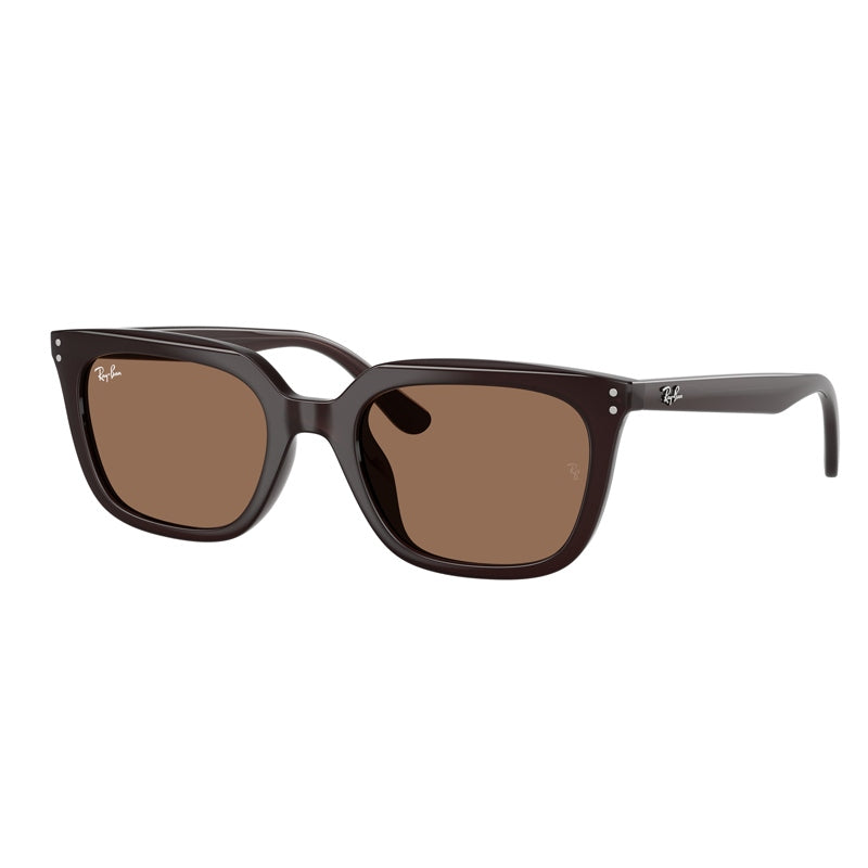 Ray Ban Sunglasses, Model: 0RB4439D Colour: 623173