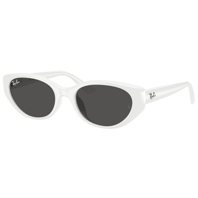 Ray Ban Sunglasses, Model: 0RB4457D Colour: 677287