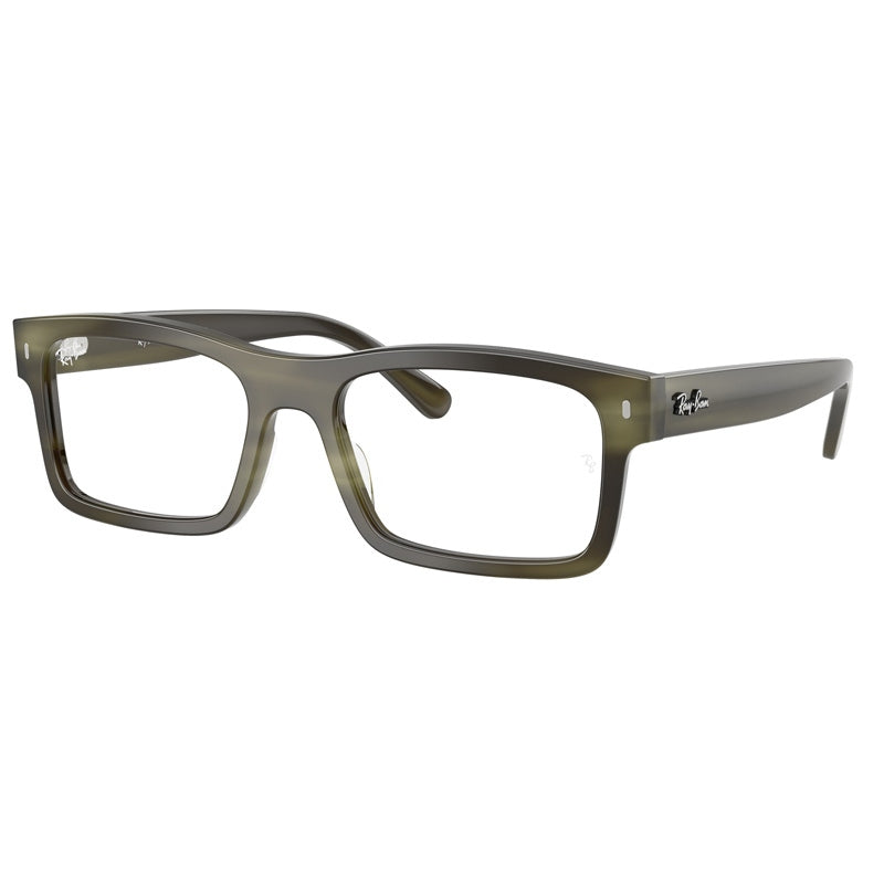 Ray Ban Glasögon, Modell: 0RX5435 Färg: 8405