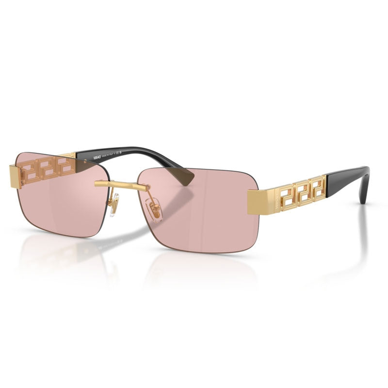 Versace Sunglasses, Model: 0VE2298 Colour: 10021T