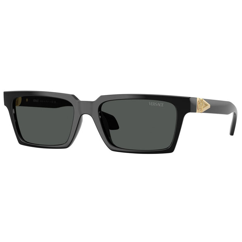 Versace Sunglasses, Model: 0VE4490U Colour: GB187