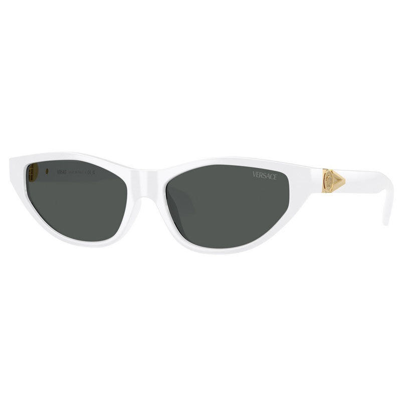 Versace Sunglasses, Model: 0VE4491U Colour: 31487