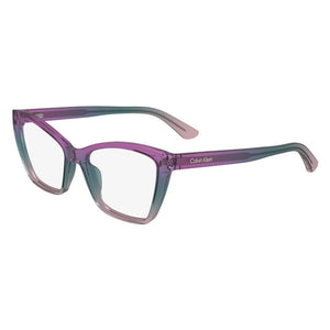Calvin Klein Eyeglasses, Model: CK24523 Colour: 503