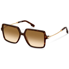 Load image into Gallery viewer, Rodenstock Sunglasses, Model: R3345 Colour: A
