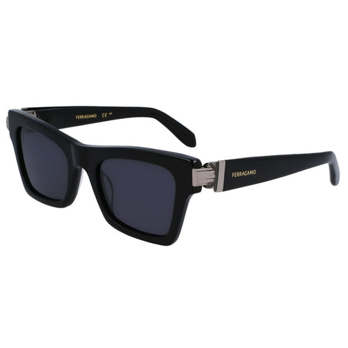 Salvatore Ferragamo Sunglasses, Model: SF2013S Colour: 001