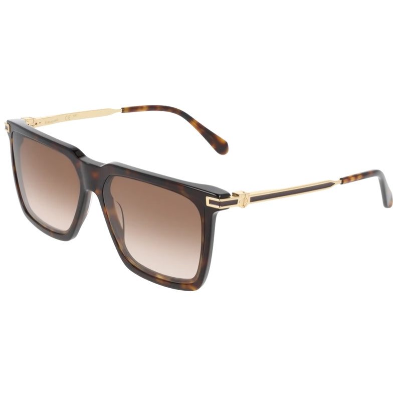 Salvatore Ferragamo Zonnebril, Model: SF2077SLBI Kleur: 242