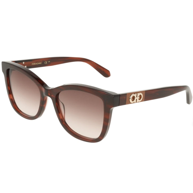 Salvatore Ferragamo Zonnebril, Model: SF2108S Kleur: 656