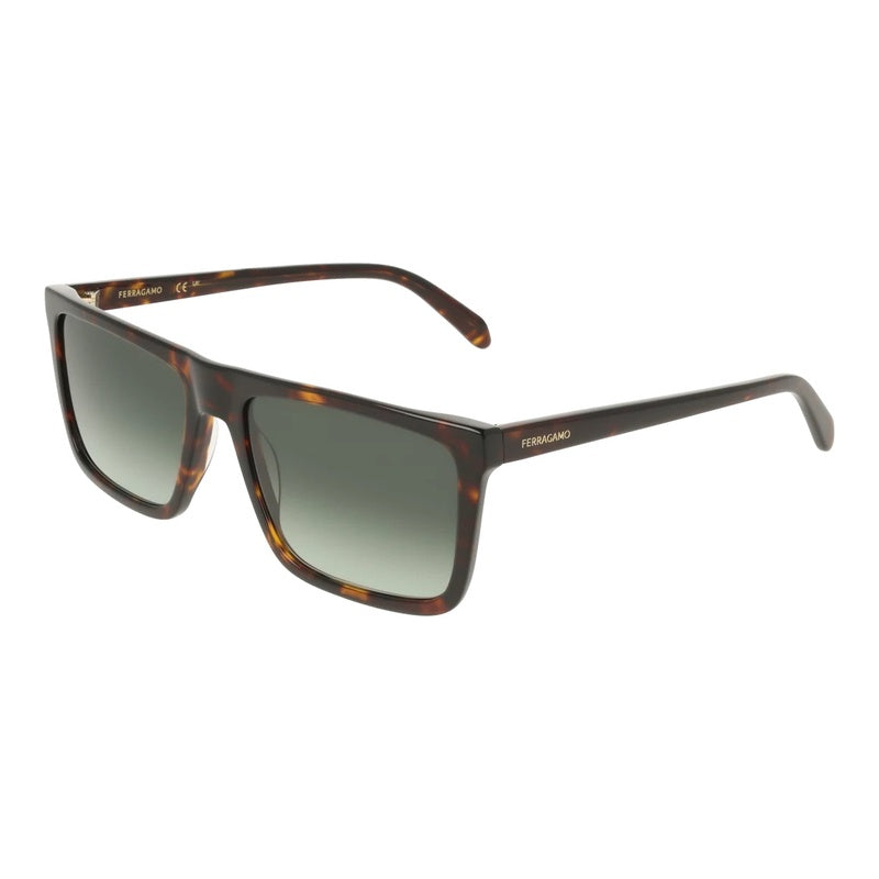Salvatore Ferragamo Sunglasses, Model: SF2123S Colour: 242