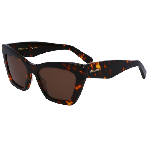 Salvatore Ferragamo Sunglasses, Model: SF929SN Colour: 242