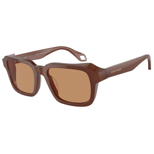 Giorgio Armani Sunglasses, Model: 0AR8194U Colour: 604253