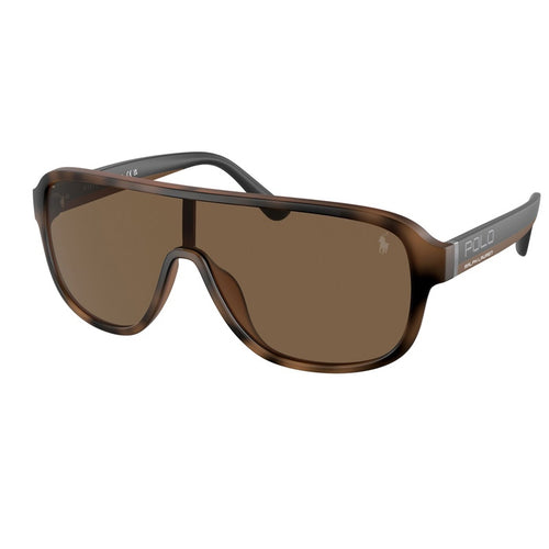 Polo Ralph Lauren Sunglasses, Model: 0PH4196U Colour: 607073