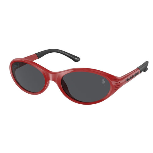 Polo Ralph Lauren Sunglasses, Model: 0PH4197U Colour: 609187