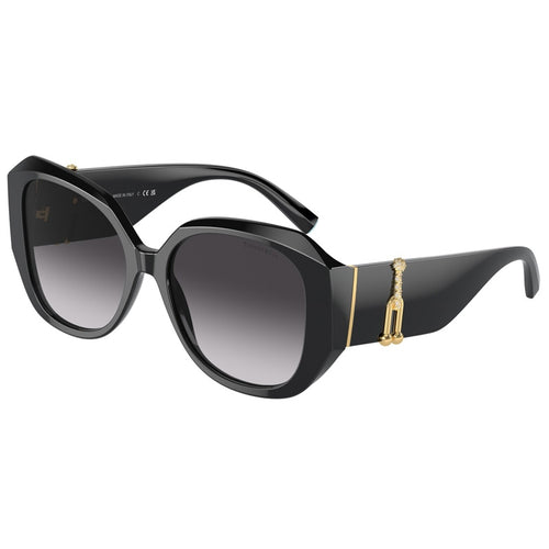 Tiffany Sunglasses, Model: 0TF4207B Colour: 80013C