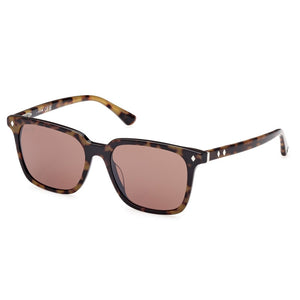 Web Sunglasses, Model: WE0348 Colour: 56E