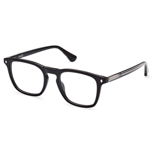 Web Eyeglasses, Model: WE5386 Colour: 005