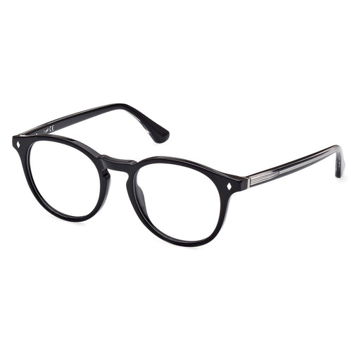Web Eyeglasses, Model: WE5387 Colour: 005