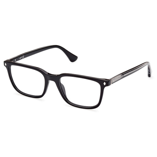 Web Eyeglasses, Model: WE5391 Colour: 005
