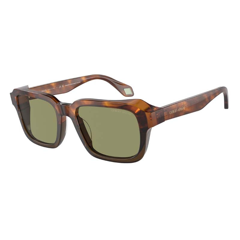 Giorgio Armani Sunglasses, Model: 0AR8194U Colour: 598814