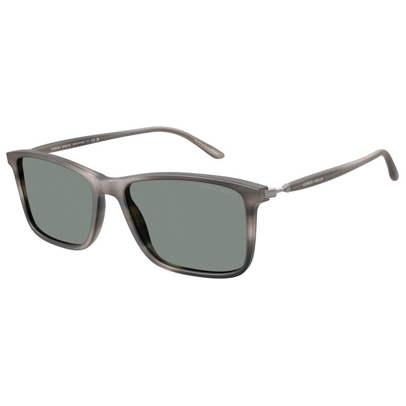 Giorgio Armani Sunglasses, Model: 0AR8218 Colour: 616611