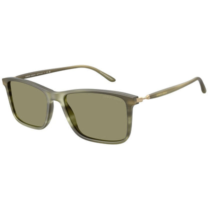 Giorgio Armani Sunglasses, Model: 0AR8218 Colour: 61682A