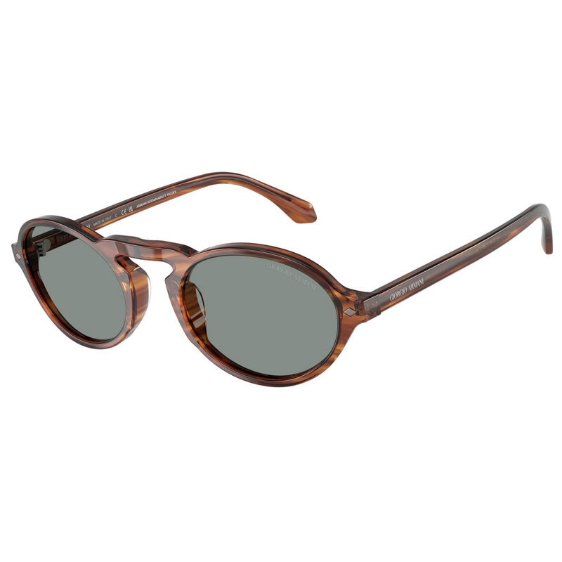 Giorgio Armani Sunglasses, Model: 0AR8219U Colour: 616256