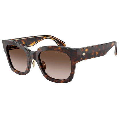Giorgio Armani Sunglasses, Model: 0AR8223 Colour: 502613