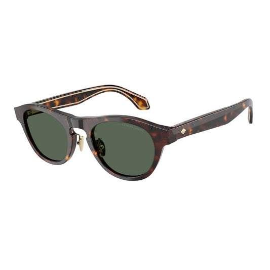 Giorgio Armani Sunglasses, Model: 0AR8225 Colour: 502671