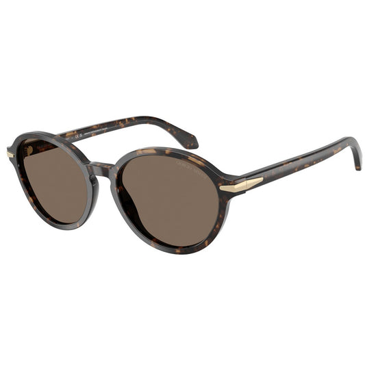 Giorgio Armani Sunglasses, Model: 0AR8237 Colour: 623573