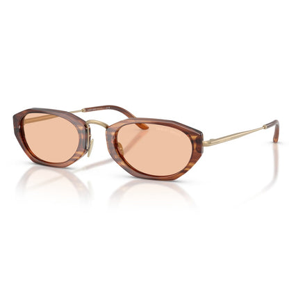 Giorgio Armani Sunglasses, Model: 0AR8242 Colour: 616273
