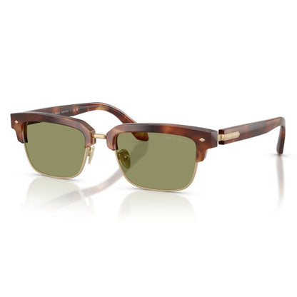 Giorgio Armani Sunglasses, Model: 0AR8243 Colour: 630214