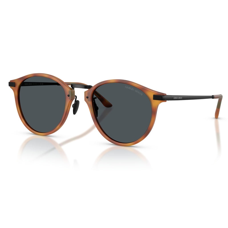 Giorgio Armani Sunglasses, Model: 0AR8250 Colour: 6404R5