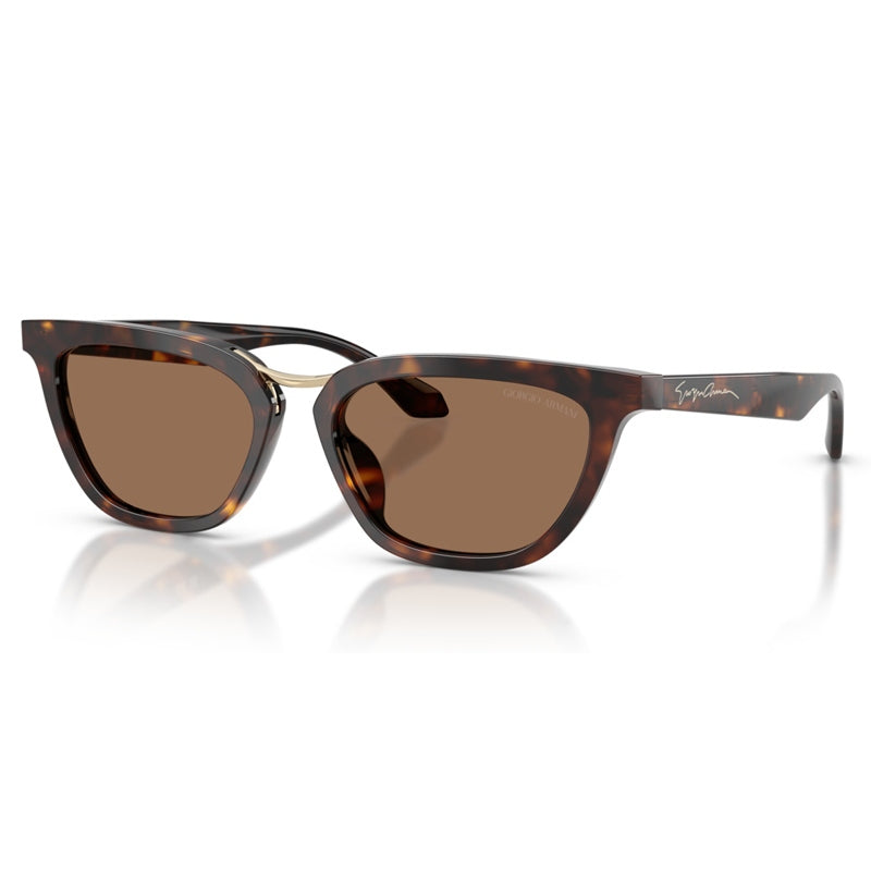 Giorgio Armani Sunglasses, Model: 0AR8253U Colour: 612473