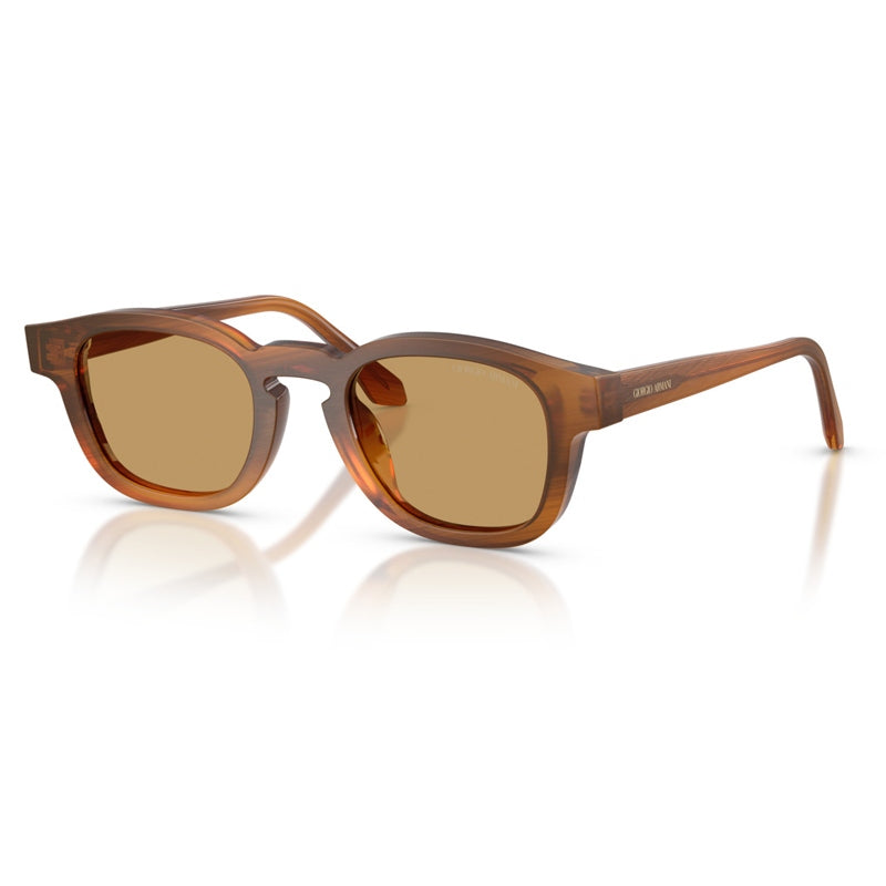 Giorgio Armani Sunglasses, Model: 0AR8254U Colour: 616373