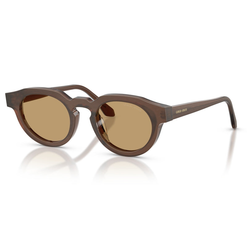 Giorgio Armani Sunglasses, Model: 0AR8255U Colour: 639473