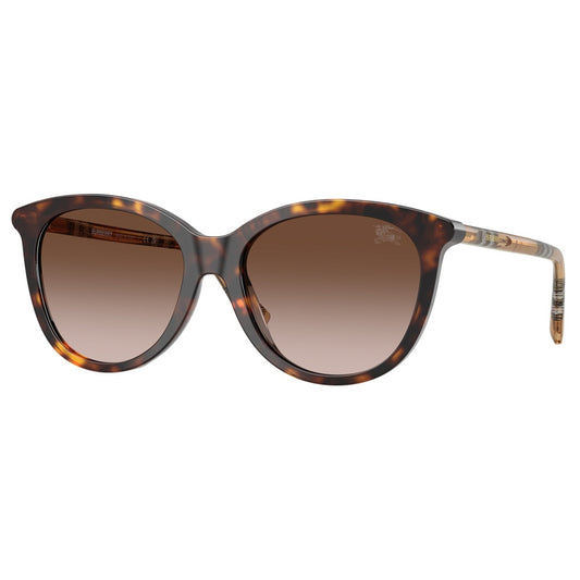 Burberry Sunglasses, Model: 0BE4455 Colour: 421613