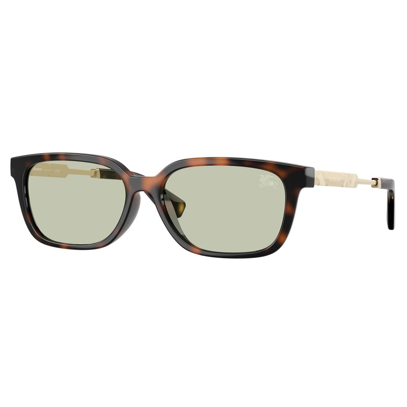 Burberry Sunglasses, Model: 0BE4481D Colour: 30022