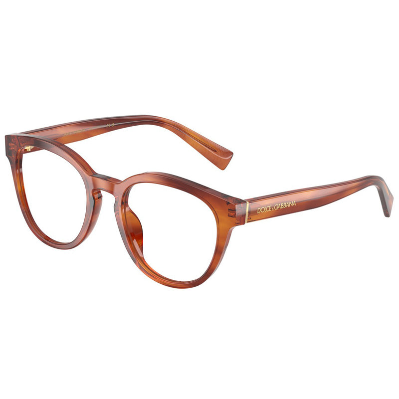 Dolce e Gabbana Eyeglasses, Model: 0DG3421 Colour: 3221