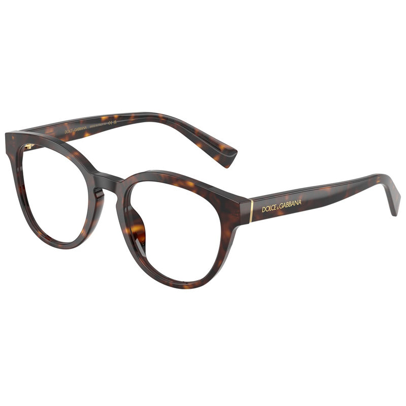 Dolce e Gabbana Eyeglasses, Model: 0DG3421 Colour: 502