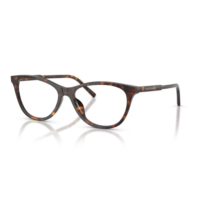 Dolce e Gabbana Eyeglasses, Model: 0DG3443 Colour: 502