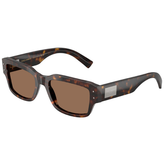 Dolce e Gabbana Sunglasses, Model: 0DG4483 Colour: 50273