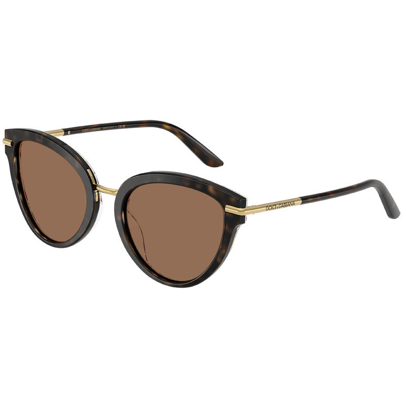 Dolce e Gabbana Sunglasses, Model: 0DG4492 Colour: 321713