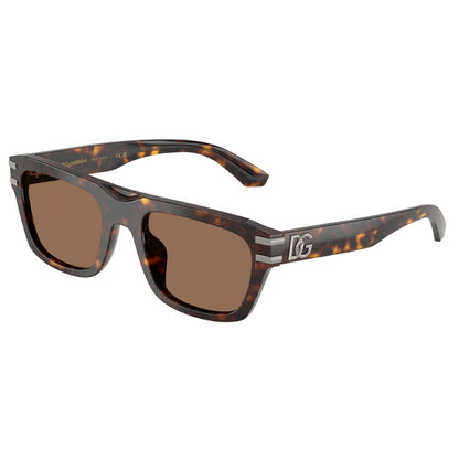 Dolce e Gabbana Solglasögon, Modell: 0DG4496 Färg: 50273