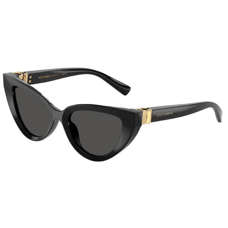 Dolce e Gabbana Sunglasses, Model: 0DG4497 Colour: 50187