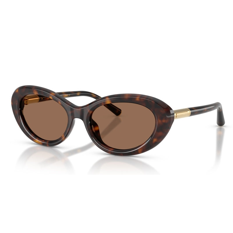 Dolce e Gabbana Sunglasses, Model: 0DG4519 Colour: 50273